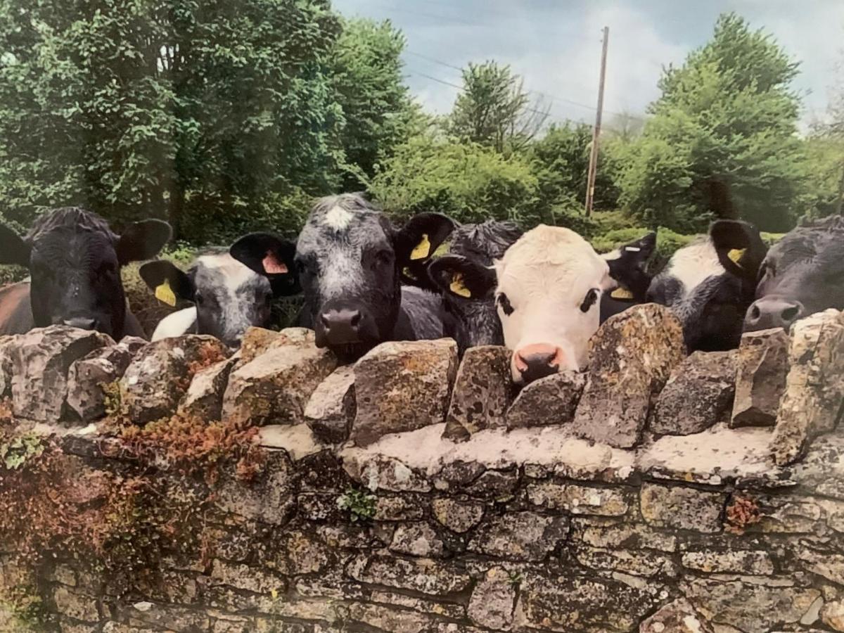 The Milking Sheds Apartment Tytherington  Bagian luar foto